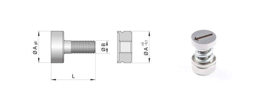 Indicator insert